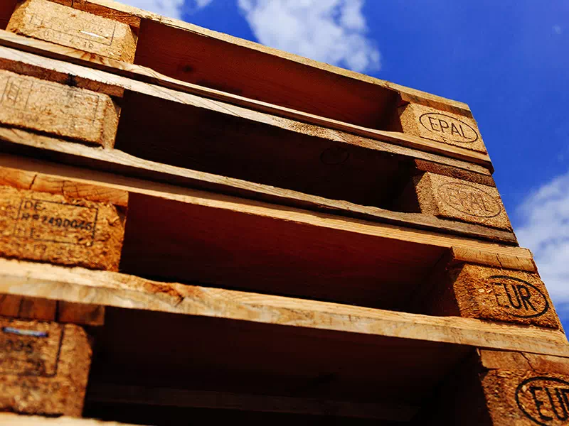 Ritiro-riparazione-pallets-in-legno